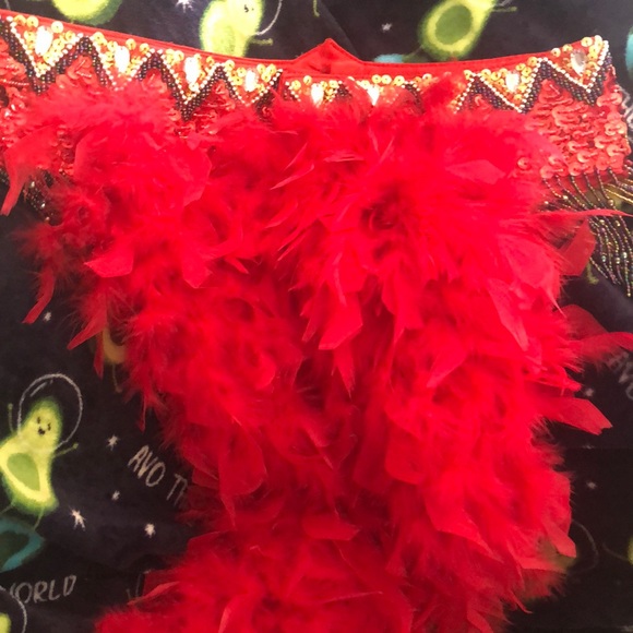 Gently worn custom made showgirl/carnival costume - Picture 10 of 14